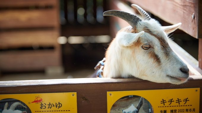 【さき楽45＋2連泊】早期予約＆連泊でさらにお得！むら咲むら入園無料☆グループ旅行にも最適【朝食付】